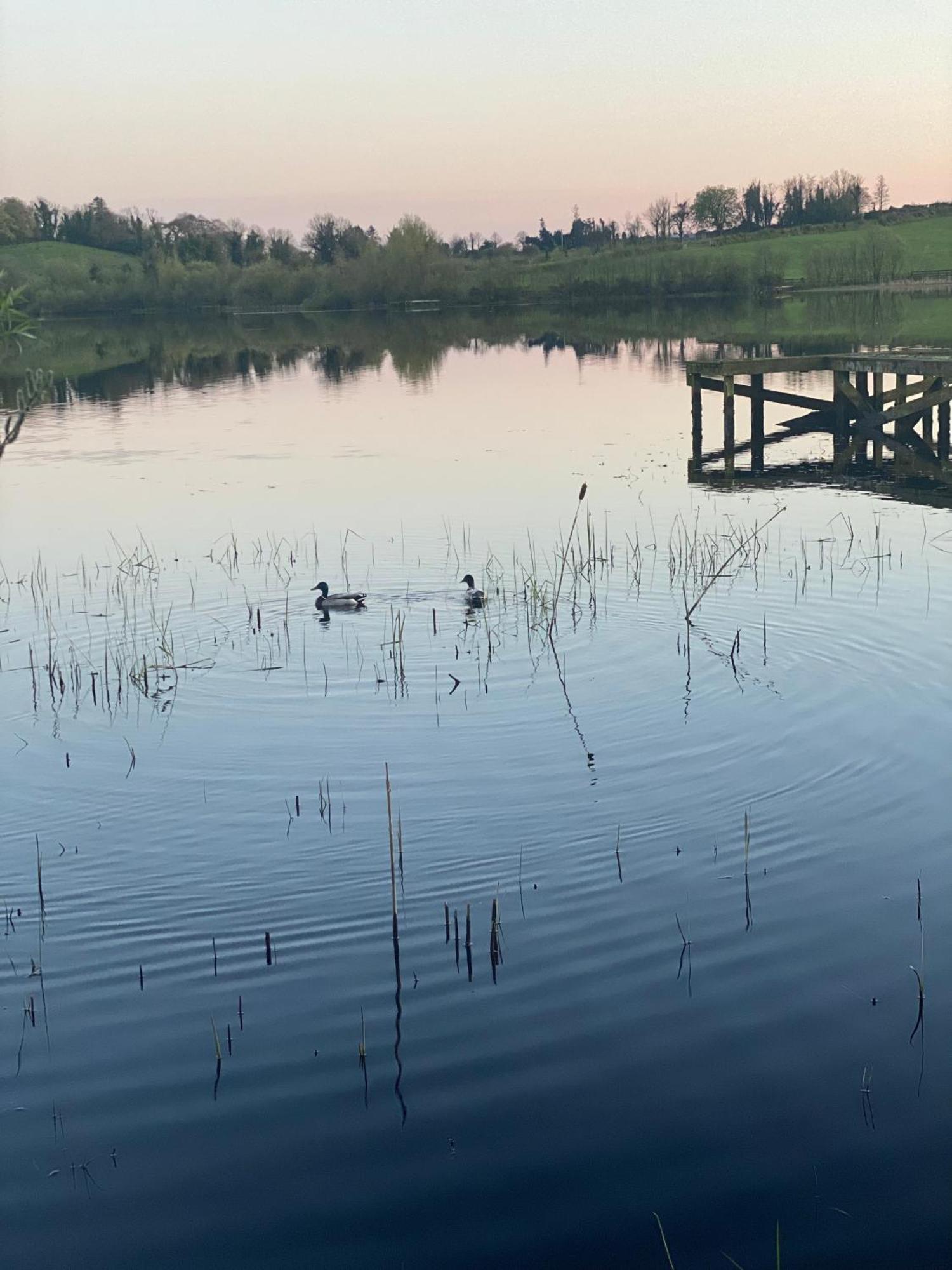 Killyfole Lakeside Lodges Corranny Kültér fotó