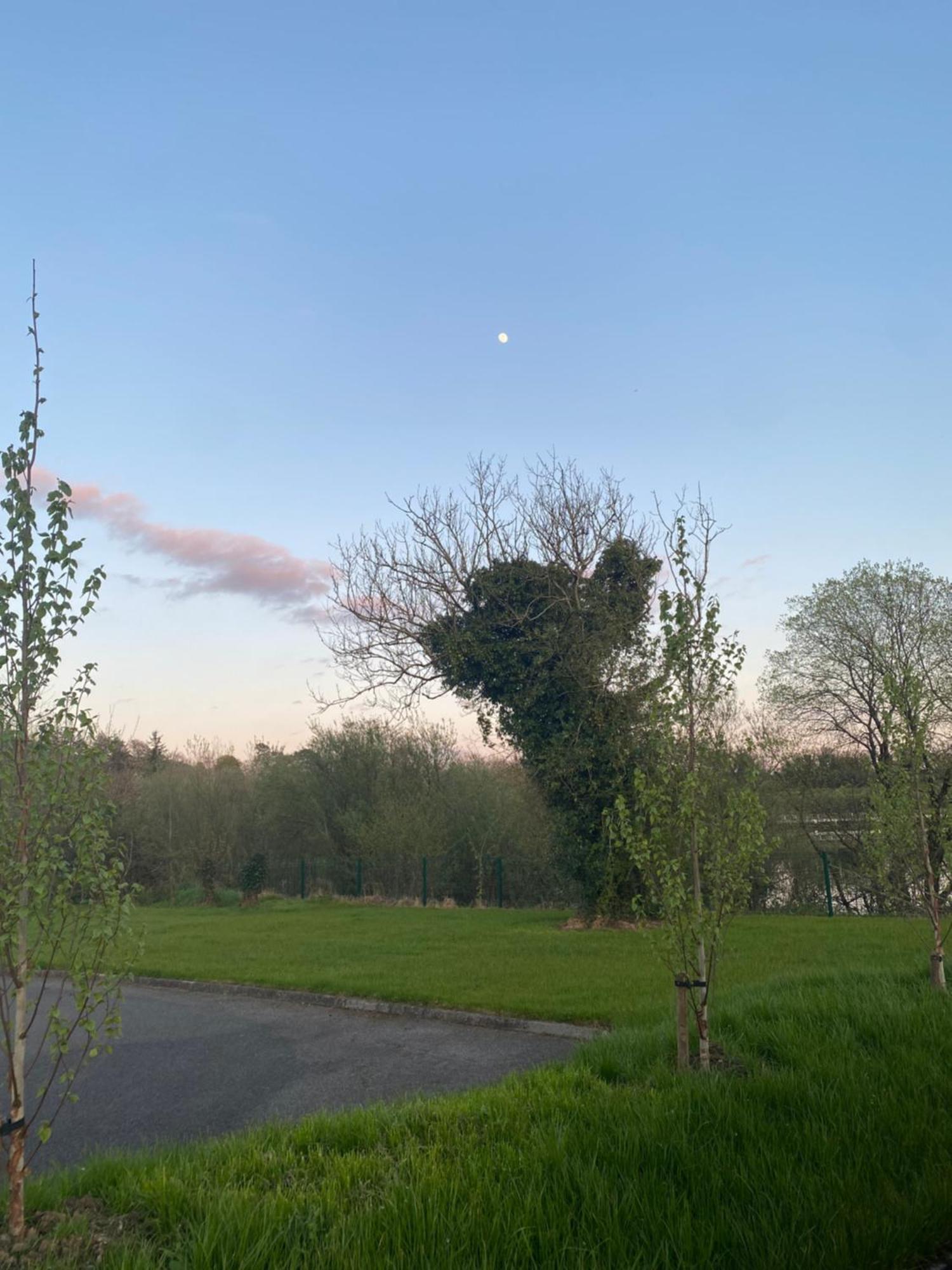 Killyfole Lakeside Lodges Corranny Kültér fotó