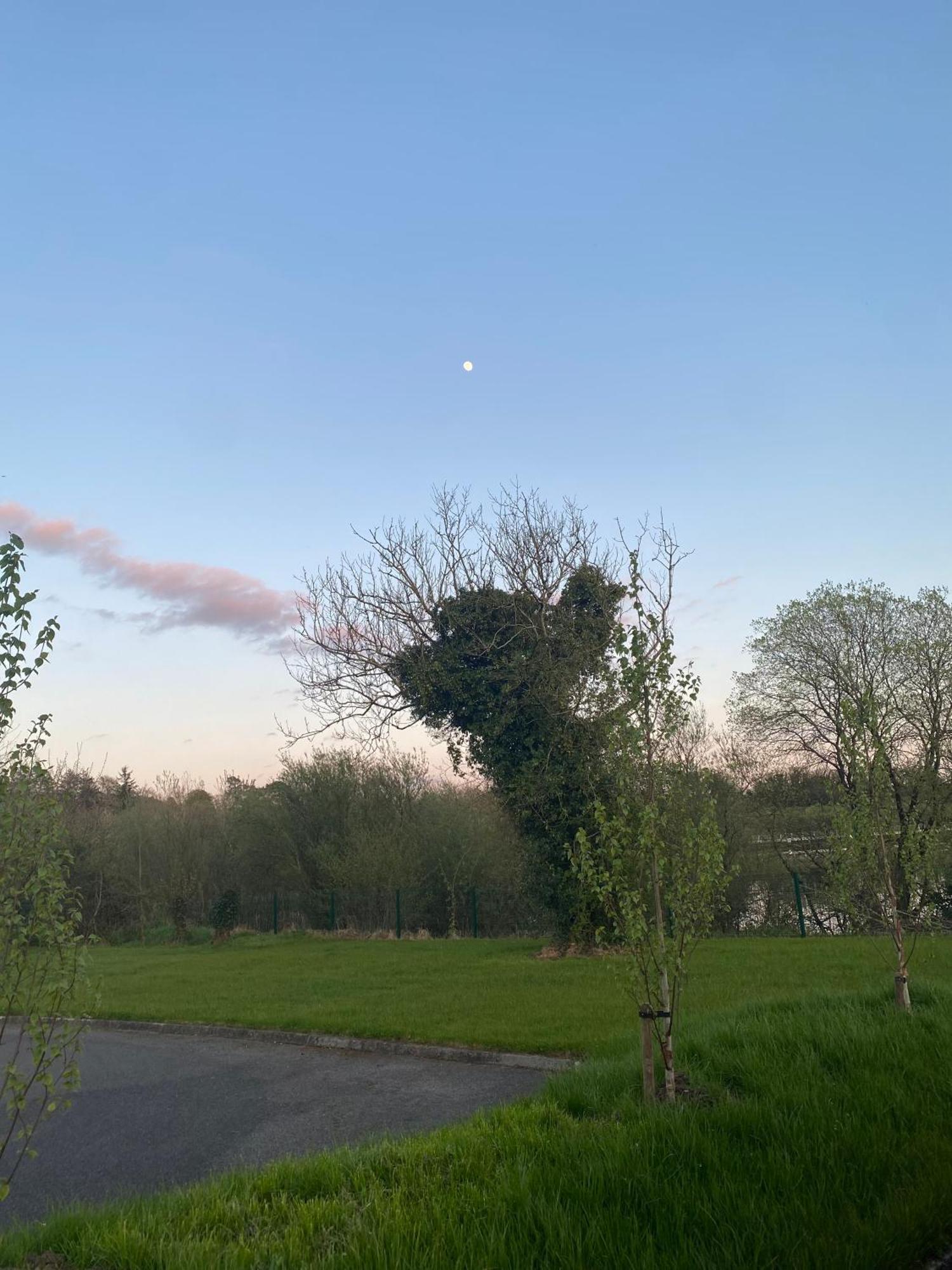 Killyfole Lakeside Lodges Corranny Kültér fotó